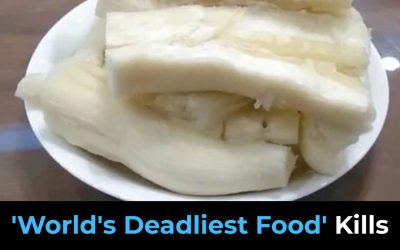 Over 200 People Are Killed By The “World’s Deadliest Food” Every Year, But Almost 500 Million People Still Eat It
