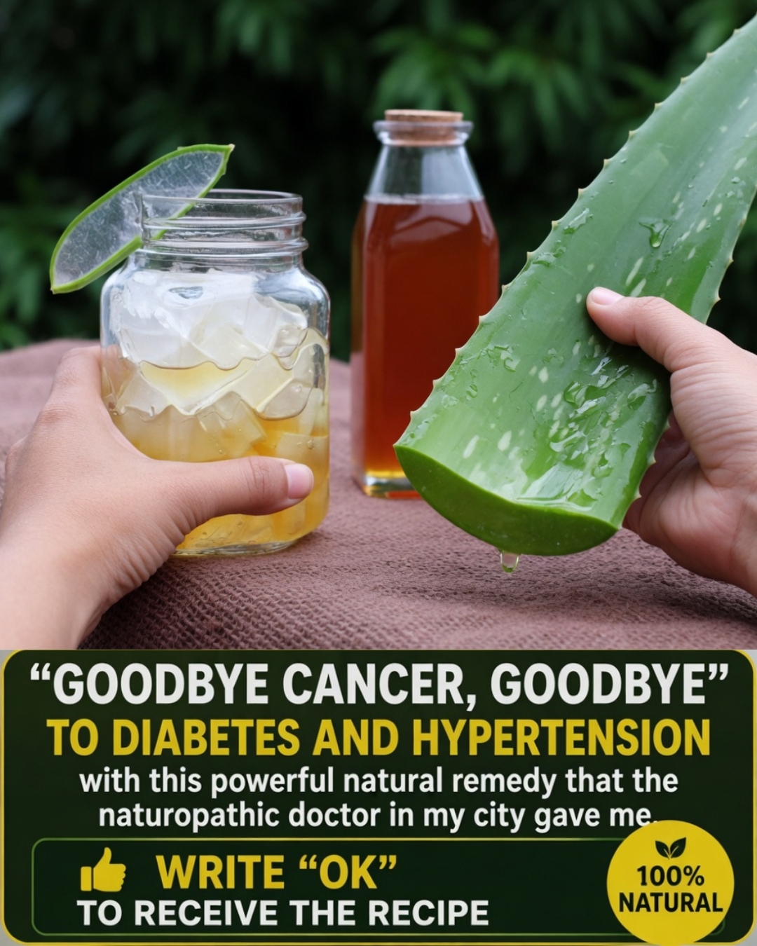 Aloe Vera and Honey: Natural Remedies for Wellness – What Science Really Says