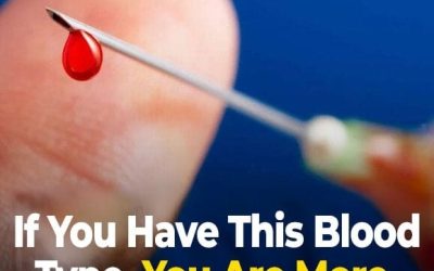 Studies Indicate That Individuals With This Blood Type Have a Higher Likelihood of Living to 100