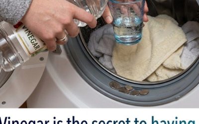 Yes, Vinegar Helps Clean the Washing Machine Thoroughly: Here’s How to Use It, Revealing a Simple Natural Cleaning Method That Removes Odors, Mineral Buildup, and Detergent Residue, Restoring Freshness and Efficiency to Your Appliance, While Showing How Household Ingredients Can Be an Affordable and Effective Way to Maintain Cleanliness and Extend Machine Lifespan Over Time