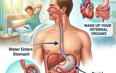 A Worthy Action: Drinking Water On An Empty Stomach Every Morning