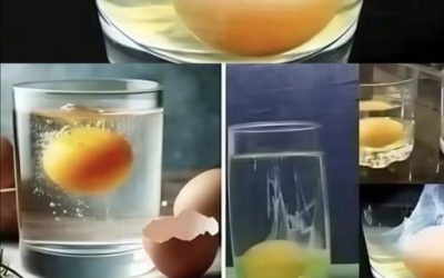 Unbelievable! For those who are feeling anxious, try this egg ritual now!!