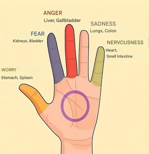 Each finger of the hand corresponds to 2 organs: an effective Japanese therapeutic method