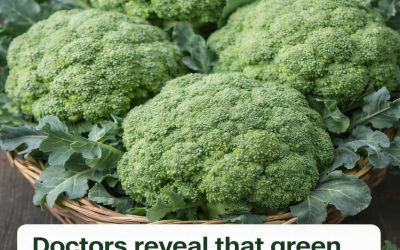 Doctors reveal that green broccoli causes… See more in first Commеոt